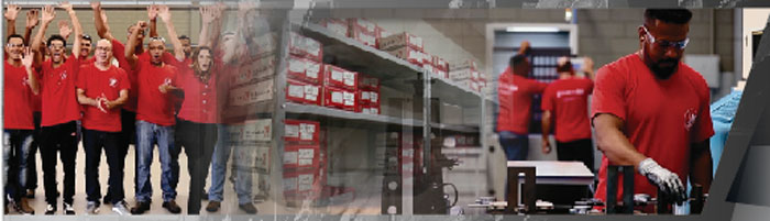 Excelência Operacional: O desafio permanente da Kalled Pistões