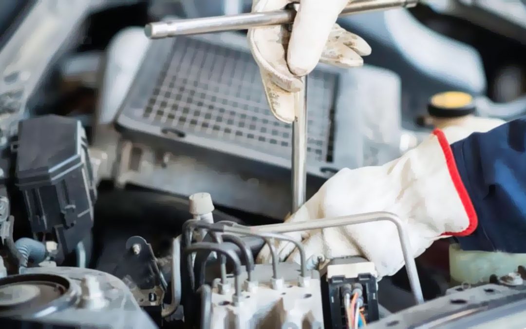 Vídeo – Conheça o perfil dos clientes Kalled