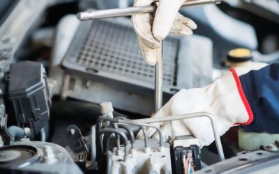 Vídeo – Conheça o perfil dos clientes Kalled